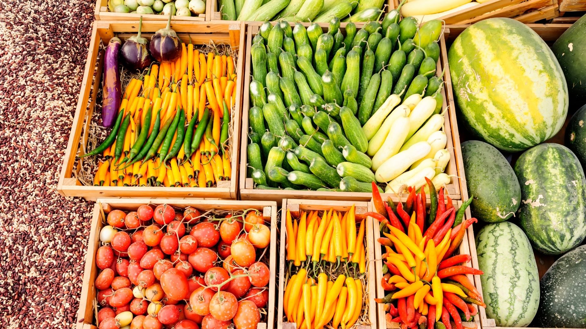 Training on Monitoring and Evaluation in Food Security and Nutrition