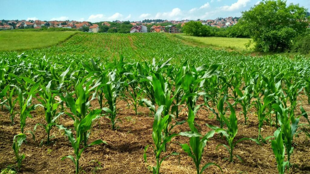 Training on Monitoring and Evaluation for Agriculture and Rural Development