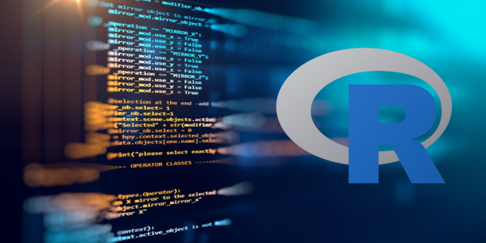 Training on Statistical Data Analysis using R