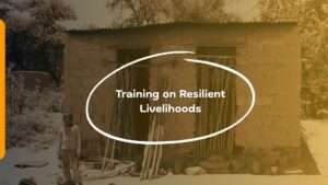 resilient livelihoods