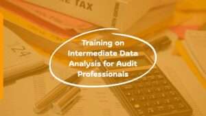 Training on Intermediate Data Analysis for Audit Professionals