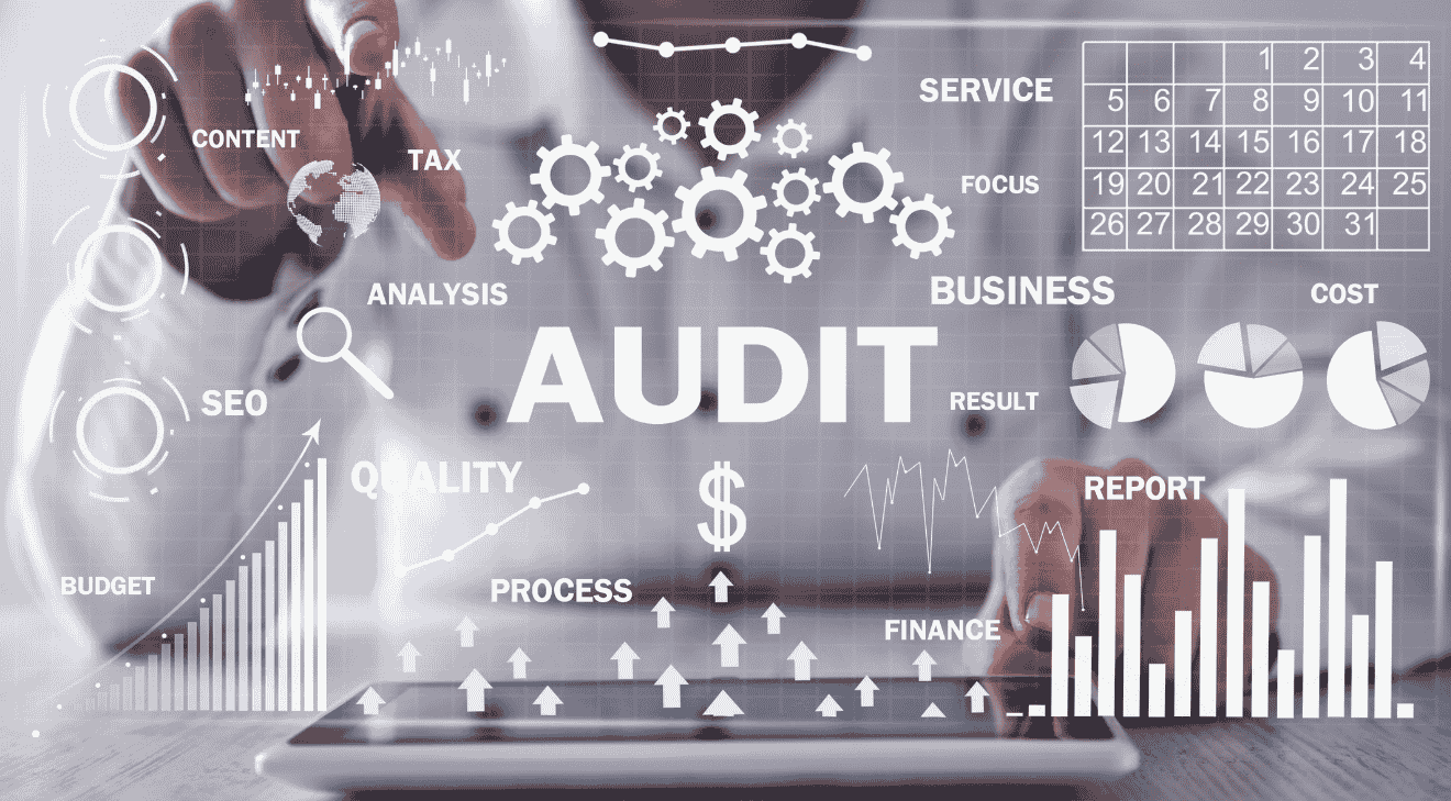 Training on Intermediate Data Analysis for Audit Professionals