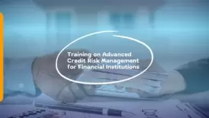 Training on Advanced Credit Risk Management for Financial Institutions