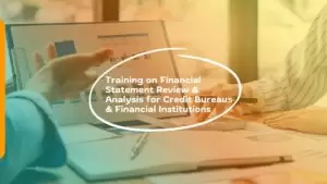 Training on Financial Statement Review & Analysis for Credit Bureaus & Financial Institutions