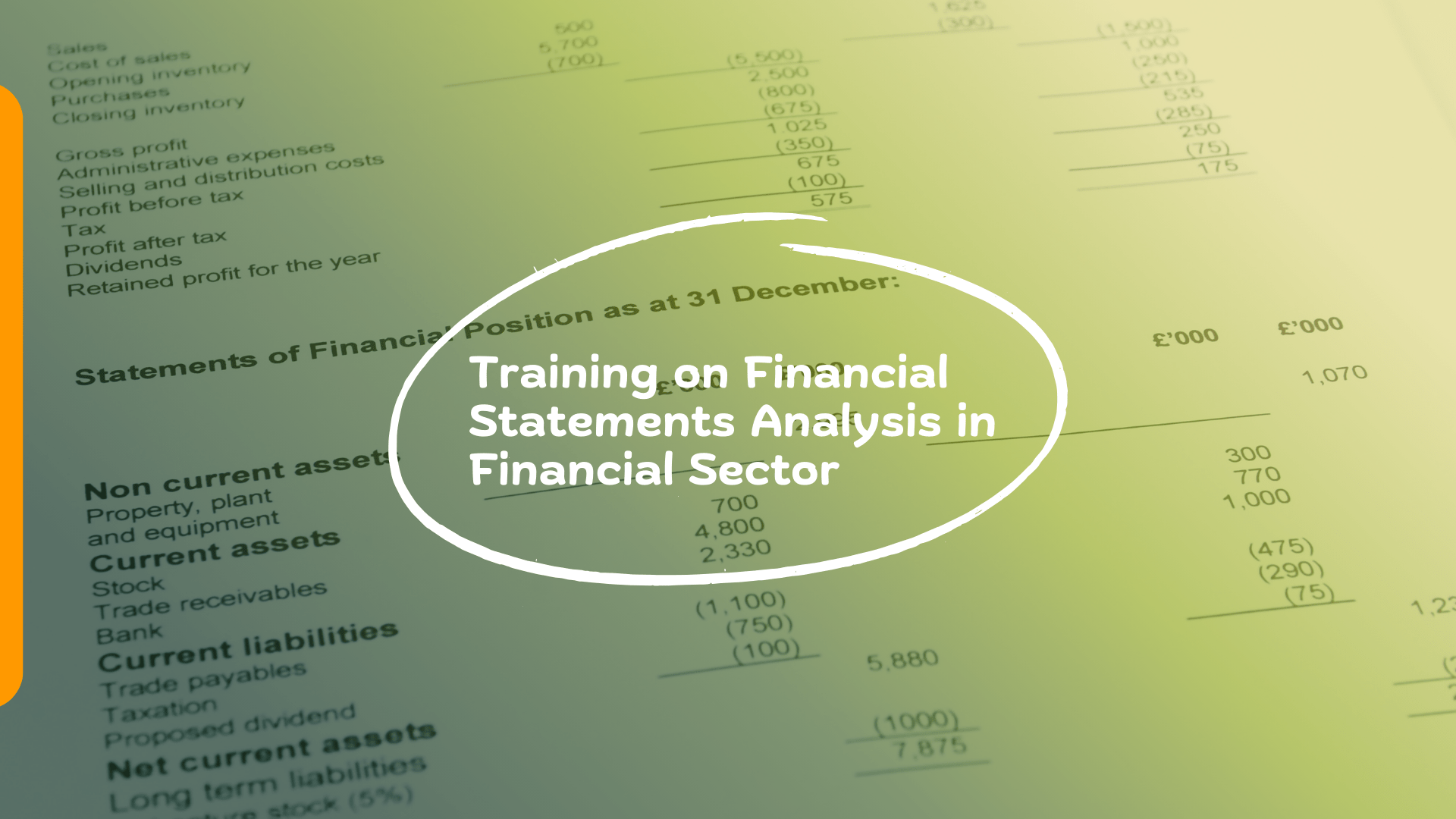 Training on Financial Statements Analysis in Financial Sector